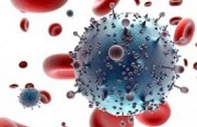 Результат проверки на ВИЧ: антитела и антигены